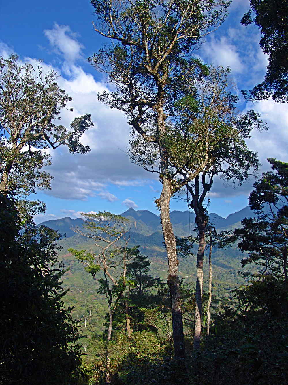 Meamber Azul Mountains
