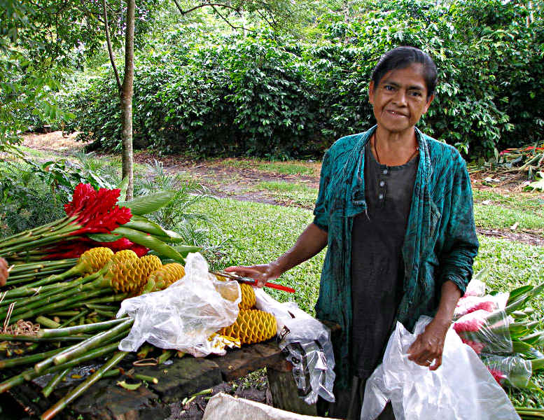 Working with the Flowers