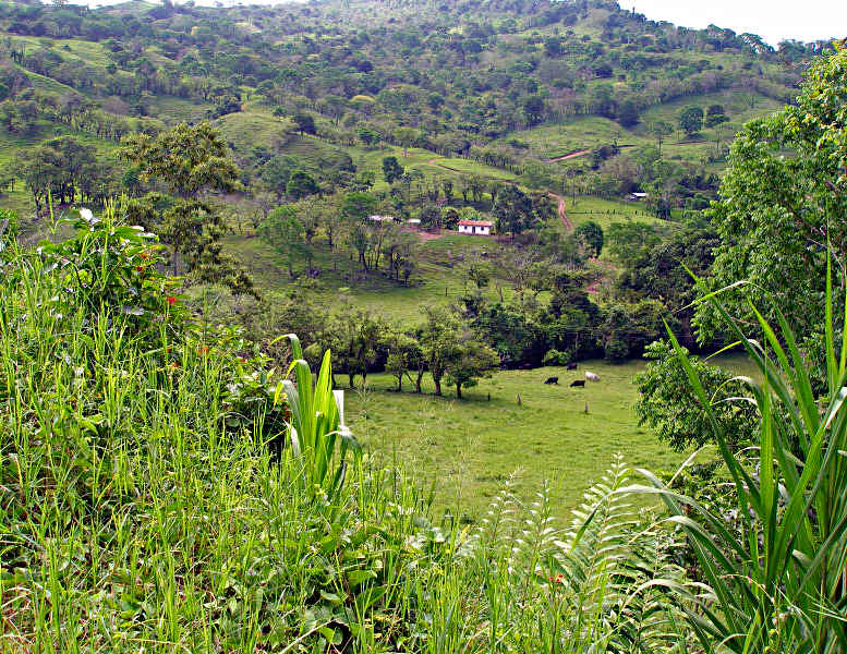 House n hills