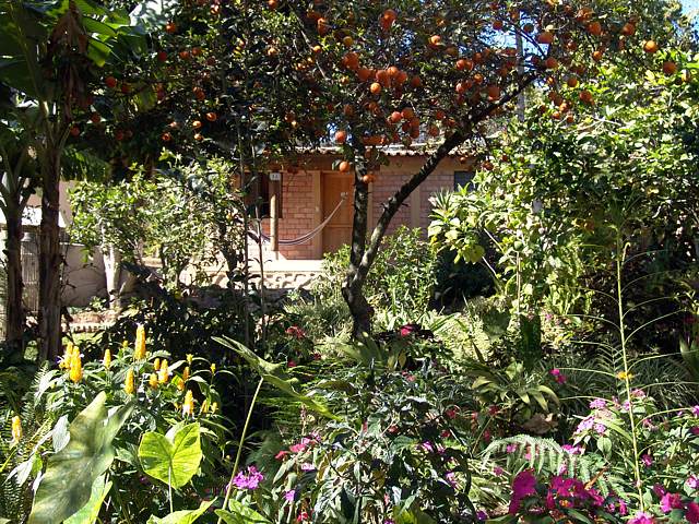 Garden Cabin View