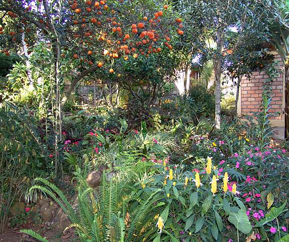 zGarden Flowers