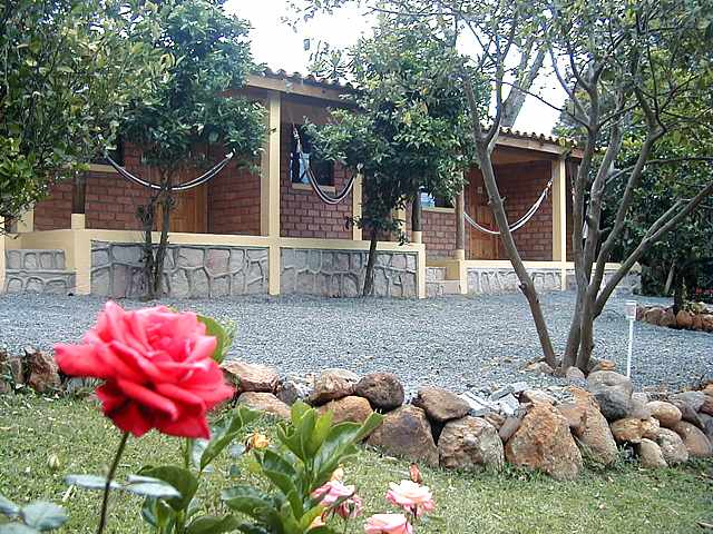 Cabins & Flower