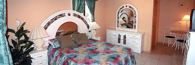 Large Queen Bed