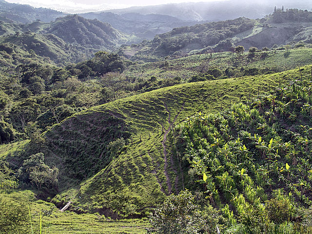 Greens Hills