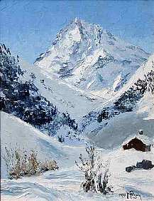 PRogole-snowPeak * Size: 44x33