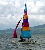 50916b77.jpg
