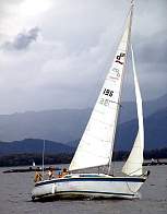 50916b80.jpg